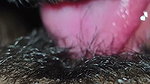 My hairy pussy liking my neiber men