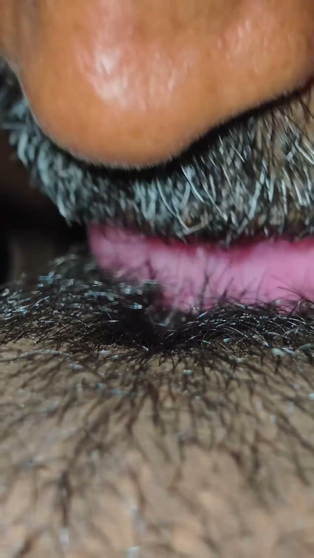Frame 7