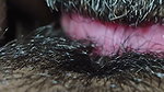 My hairy pussy liking my neiber men