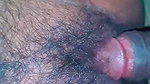 Pussy rubbing on cock