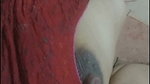 Rasilli bhabhiji ke rasilli chuchi hot maal sexy randi bhabhi