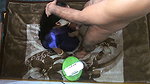 Real Homemade Couple Fuck