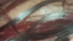 Sexy Stepsister Queen4desi Oil Massage Fucking 69