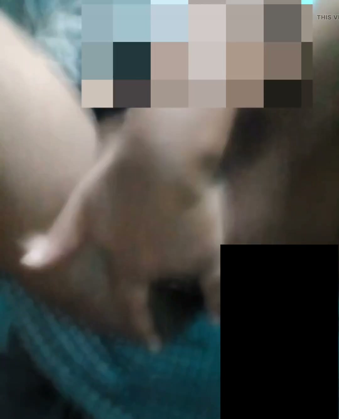 Frame 3