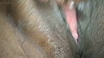 Siilping Pussy