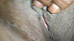 Siilping Pussy
