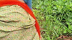 Sonam pumped out the water by putting a finger in the pussy in the fields