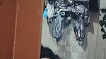 Stepsister Shower Surprise Woman Shows Her Body