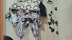 Stepsister Shower Surprise Woman Shows Her Body