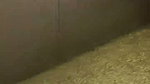 Stranger desi girl miss mahi 2007 booked for 12,000, stripped her naked, and fucked her
