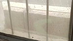 Stranger desi girl miss mahi 2007 booked for 12,000, stripped her naked, and fucked her