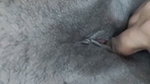 The Neighbor’s Stepbrother Fingered My Pussy