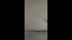 Wife fucking hard sharing wife fingaring doggy fucking threesome