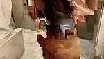 Cute lisa_1