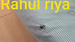 rahul riya