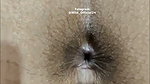 Hotty 10Min stripchat ticket show