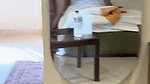 Indian Horny Gf Blowjob Reverse Ride Hard Fucking Moaning updates 10