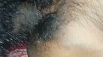 Bhabhi Hot room desi girls hot