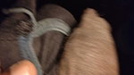 Dedicating my cock to boss wife sherya the bitch slutty whore