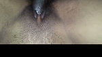 Desi Bhaibhi Hot Pussy