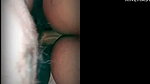 Doggy Style Desi XXX