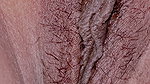 Hairy close up pussy