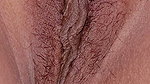 Hairy close up pussy