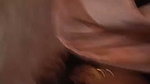 The pleasure of having sex secretly is different