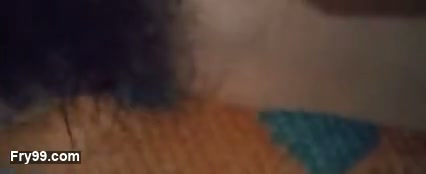 Frame 4