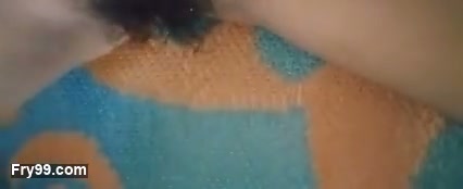 Frame 8