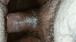 Bengali Bhabi Sinthiya Fucks with Neighbour Boy