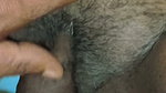 Desi Tight Teen Pussy Fuck