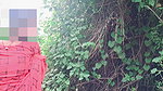 India Desi Village Bhabhi’s Fucking Video