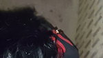 My Stepmother Shucking My Dick. Desy Stepmother Love with Stepson