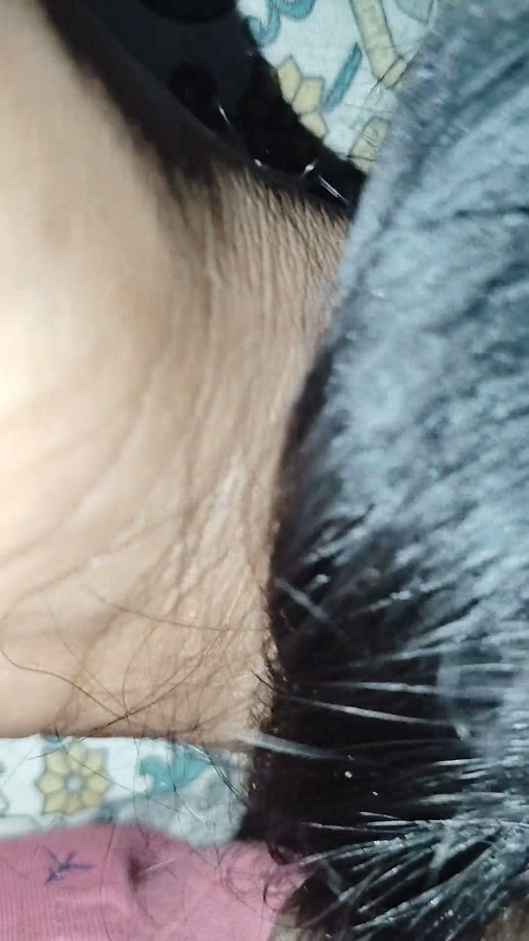 Frame 5