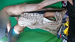 They Took Advantage. When Stepsister Not in Home. I Put My Dick in Her Mouth.fucking My Stepsister’s Friend