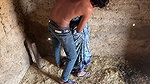 Village Bhabhi Outside Romance XXX