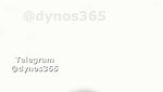 Dynos365 chamet collection – 116