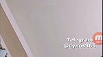 Dynos365 chamet collection – 130