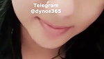 Dynos365 chamet collection – 151