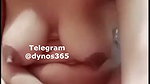 Dynos365 chamet collection – 152