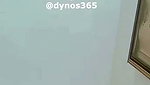 Dynos365 chamet collection – 213