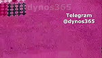 Dynos365 chamet collection – 225