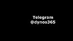 Dynos365 chamet collection – 227