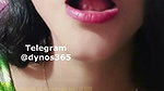 Dynos365 chamet collection – 230