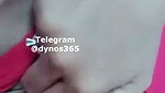 Dynos365 chamet collection – 256