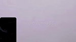 Dynos365 chamet collection – 299