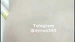 Dynos365 chamet collection – 346