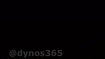 Dynos365 chamet collection – 386
