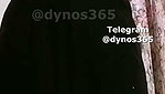 Dynos365 chamet collection – 399